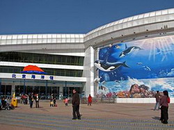 пекинский зоопарк и океанариум 