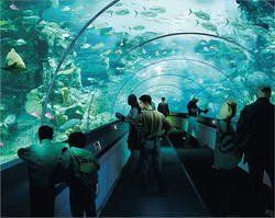 «морской аквариум – океанариум»