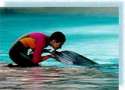 дельфин и человек